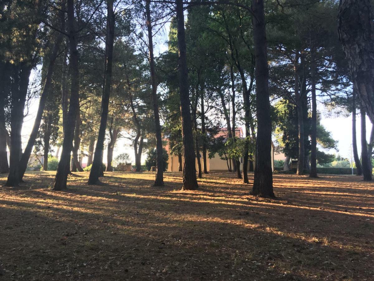 Pribetic Apartments Poreč Dış mekan fotoğraf